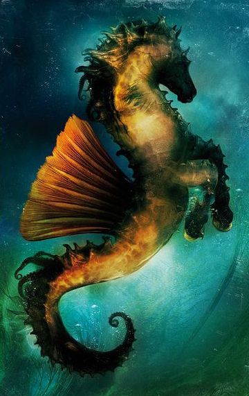 4ba7ccc7667c850b2c794164bcf798ef fantasy mermaids seahorses